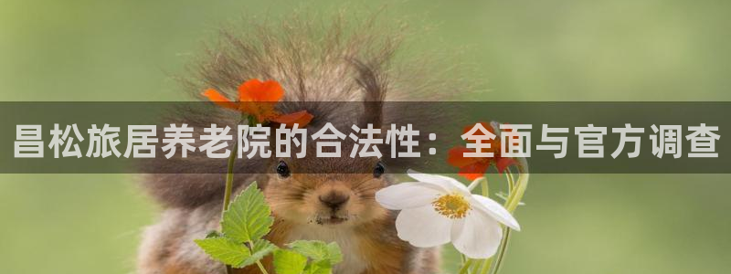 韦德1946官网最新版