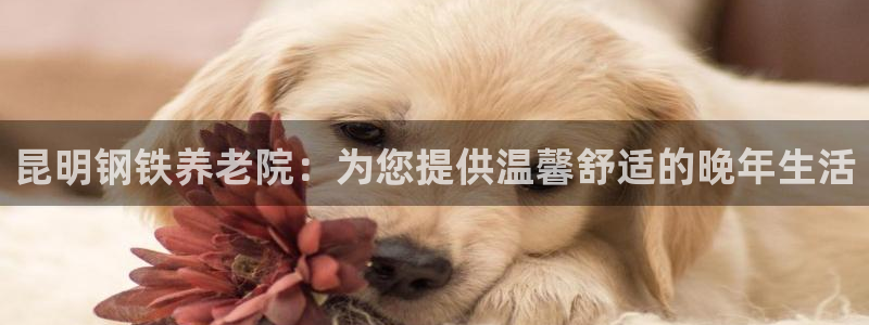 韦德全系列