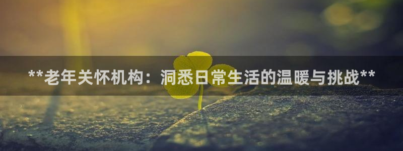 韦德是哪个