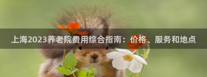 韦德bietview官网