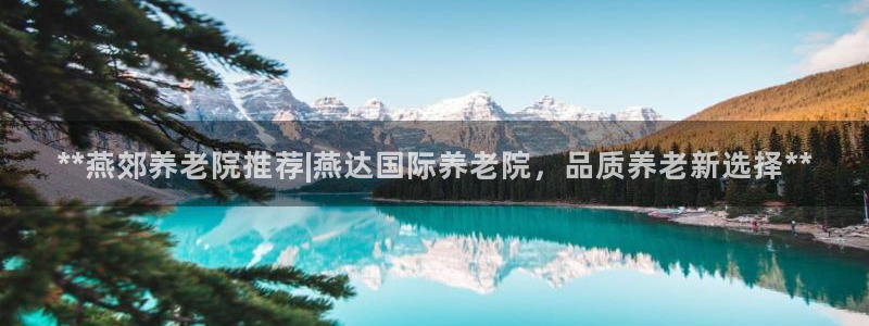 韦德1946源自英国