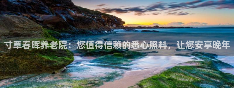 bet韦德1946