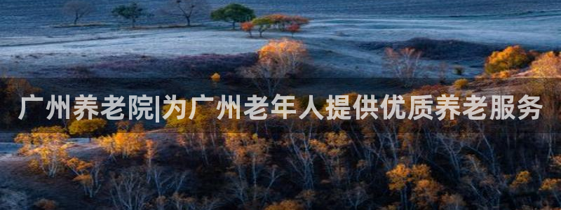 韦德1946手机