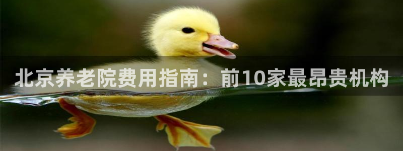 韦德1946博客
