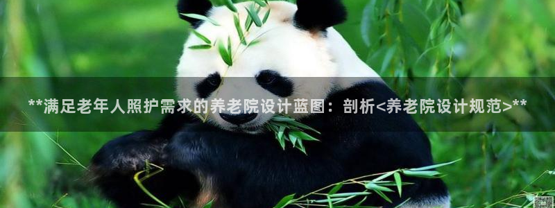 韦德观战总决赛G3
