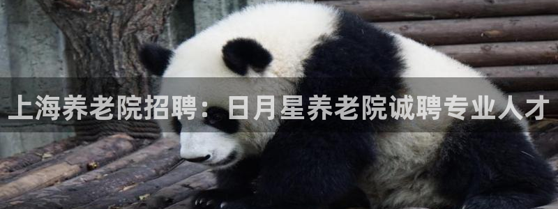 韦德1946源自英国