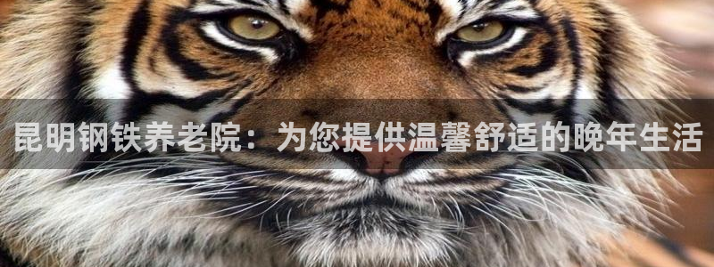 韦德app手机下载