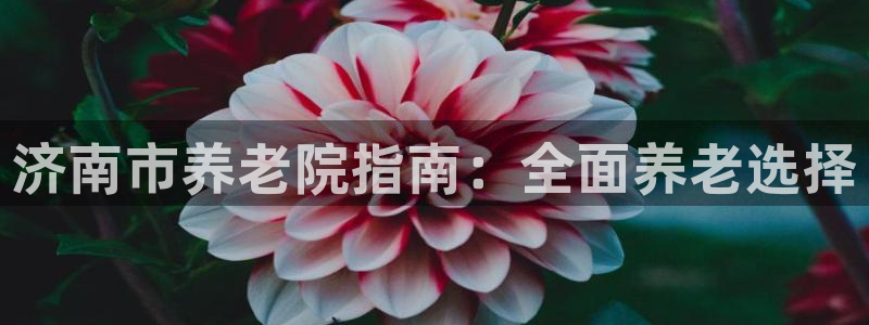 韦德官网在线