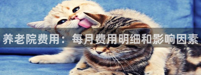 1946韦德官方网站