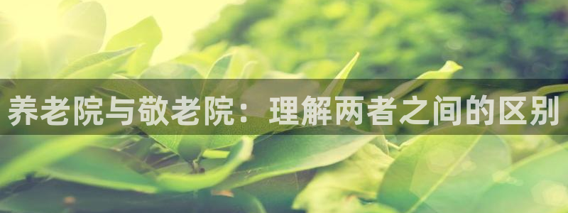 韦德1946bet