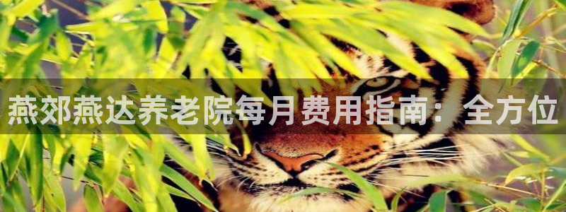 韦德1946娱乐手机版