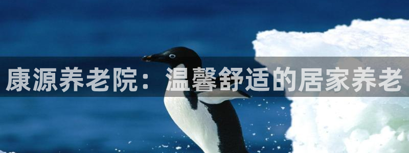 韦德的游戏