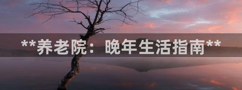 韦德 官网