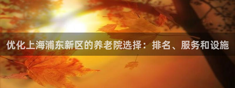 韦德 网址