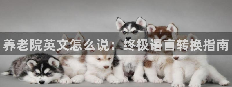 韦德是哪一届