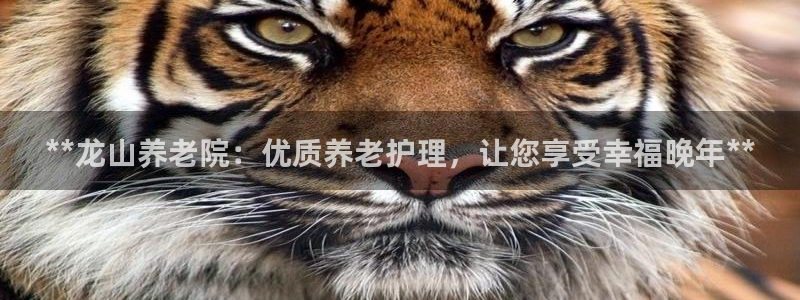 韦德网站官网