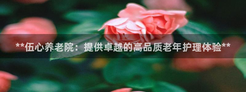 韦德游戏网址