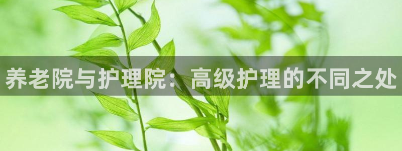 1946韦德官方网站