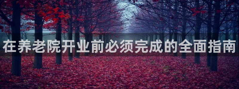 韦德 官网