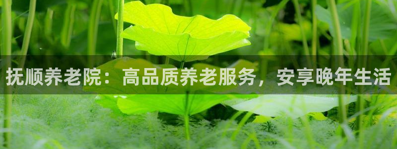 韦德网址是多少