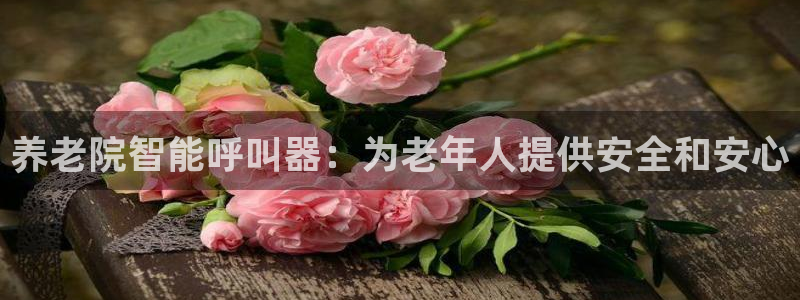 韦德网站是多少