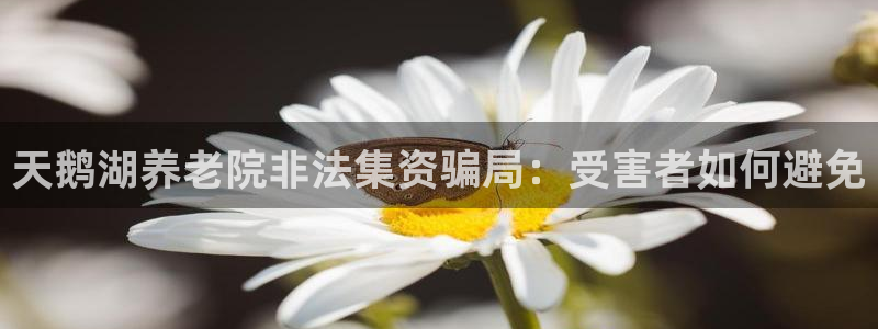 韦德新品