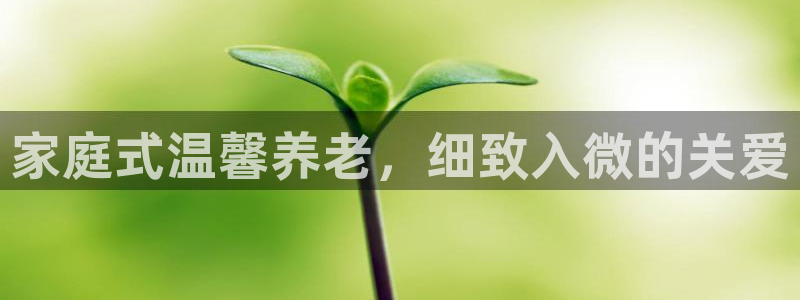 韦德1946官网