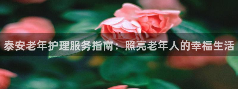 韦德 官网