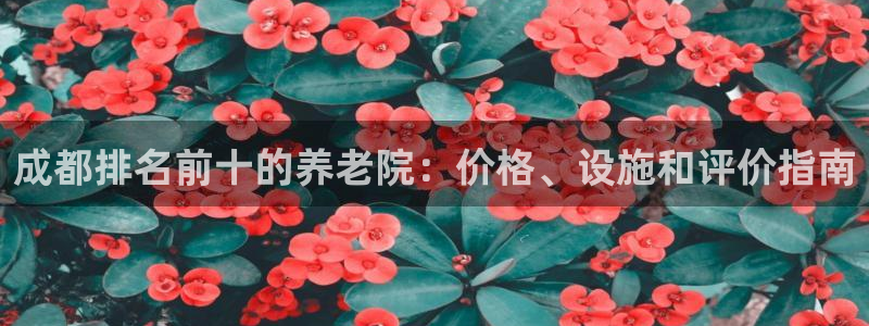 韦德新品