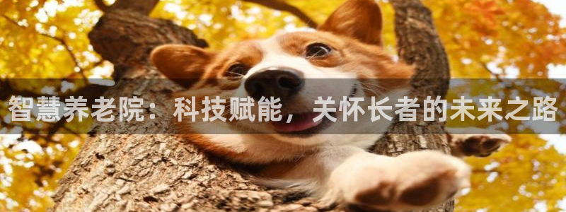韦德国际1946官网