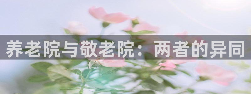 韦德1946国际