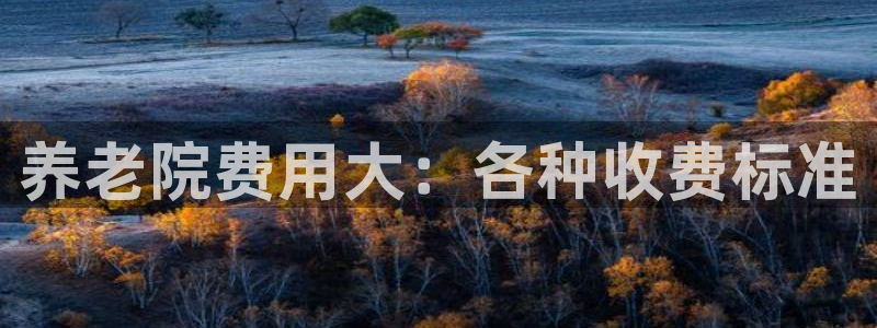 韦德是哪个