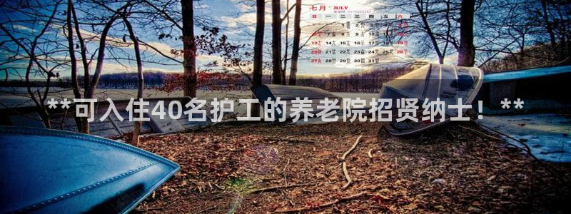 1946 韦德