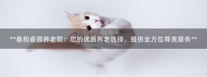 韦德的游戏